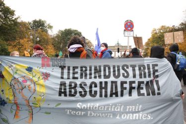 Klimaprotest in Berlin nach der Bundestagswahl <i>Bild fotopaula/R-mediabase</i> <br><a href=/confor2/?bld=59890&pst=59856&aid=225&i1=fotopaula/R-mediabase>Download Bild 59890</a>  <br><a href=/?p=59856>Zum Beitrag 59856</a>