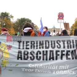 Klimaprotest in Berlin nach der Bundestagswahl <i>Bild 59890 fotopaula</i><br><a href=/confor2/?bld=59890&pst=59856&aid=225>Download (Anfrage)</a>  /  <a href=/?page_id=59856#jig2>zur Galerie</a>