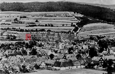 Blick zum Eulsberg. Im Vordergrund die „Brönnwiese