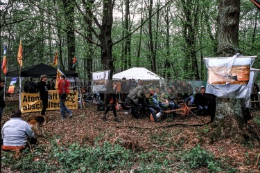 10 Jahre Besetzung des Hambacher Waldes # Aktuelles , Ungültige Taxonomie.
