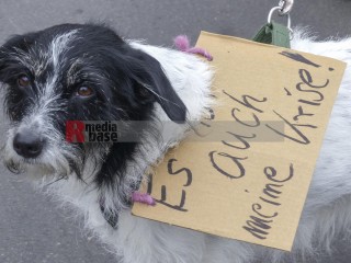 Bundesweiter Klimastreik am 3.3.2023 - Berlin | Rudi Denner/R-mediabase / R-mediabase | <a href=/confor2/?bld=74158&t=d&pst=74132&aid=86&dc=0208&i1=Rudi%20Denner/R-mediabase%20/%20R-mediabase><strong>Download Bild 74158...</strong></a>  |