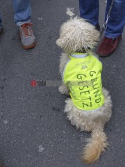 Ostermarsch Berlin 2023 | Rudi Denner/R-mediabase / R-mediabase | <a href=/confor2/?bld=74829&t=d&pst=74817&aid=86&dc=0107&i1=Rudi%20Denner/R-mediabase%20/%20R-mediabase><strong>Download Bild 74829...</strong></a>  |