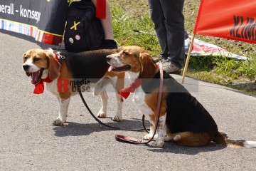 Bildrechte Manuela Hillekamps # | Manuela Hillekamps | <a href=/confor2/?bld=75829&t=d&pst=75819&aid=613&dc=1205&i1=Manuela%20Hillekamps><strong>Download...</strong></a> |