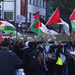 Pro Palästina Demo in Düsseldorf <i>Bild 77405 Manuela Hillekamps</i><br><a href=/confor2/?bld=77405&pst=77400&aid=613>Download (Anfrage)</a>  /  <a href=/?page_id=77400#jig2>zur Galerie</a>