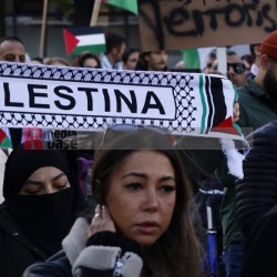 Pro Palästina Demo in Düsseldorf <i>Bild 77415 Manuela Hillekamps</i><br><a href=/confor2/?bld=77415&pst=77400&aid=613>Download (Anfrage)</a>  /  <a href=/?page_id=77400#jig2>zur Galerie</a>