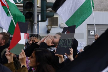 Pro Palästina Demo in Düsseldorf <i>Bild 77421 Manuela Hillekamps</i><br><a href=/confor2/?bld=77421&pst=77400&aid=613>Download (Anfrage)</a>  /  <a href=/?page_id=77400#jig2>zur Galerie</a>