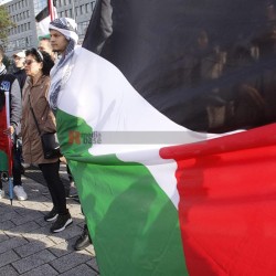 Pro Palästina Demo in Düsseldorf <i>Bild 77445 Manuela Hillekamps</i><br><a href=/confor2/?bld=77445&pst=77400&aid=613>Download (Anfrage)</a>  /  <a href=/?page_id=77400#jig2>zur Galerie</a>