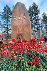 Demonstration zu den Gräbern von Liebknecht und Luxemburg, Berlin, 12. Januar 2025 | Bitzel / R-mediabase | <a href=/confor2/?bld=90725&t=d&pst=90680&aid=70&dc=1954&i1=Bitzel%20/%20R-mediabase><strong>Download Bild 90725...</strong></a> |