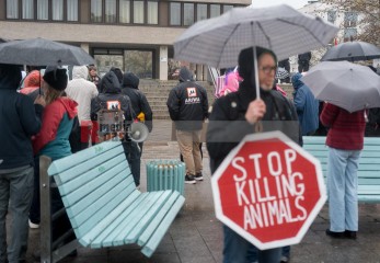 © 2025 These images are freely usable for all purposes aligned with the spirit and intentions of the original event, as well as for personal, non-commercial use. This includes, but is not limited to, personal social media profiles. Any use contradicting or diverging from the event's intentions is not permitted. | Stephan Gelenscher / R-mediabase | <a href=/confor2/?bld=92851&t=d&pst=92833&aid=797&dc=0932&i1=Stephan%20Gelenscher%20/%20R-mediabase><strong>Download Bild 92851...</strong></a>  |