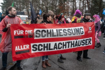 © 2025 These images are freely usable for all purposes aligned with the spirit and intentions of the original event, as well as for personal, non-commercial use. This includes, but is not limited to, personal social media profiles. Any use contradicting or diverging from the event's intentions is not permitted. | Stephan Gelenscher / R-mediabase | <a href=/confor2/?bld=92893&t=d&pst=92833&aid=797&dc=0933&i1=Stephan%20Gelenscher%20/%20R-mediabase><strong>Download Bild 92893...</strong></a>  |