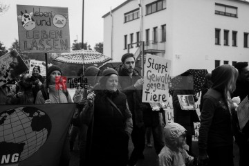 © 2025 These images are freely usable for all purposes aligned with the spirit and intentions of the original event, as well as for personal, non-commercial use. This includes, but is not limited to, personal social media profiles. Any use contradicting or diverging from the event's intentions is not permitted. | Stephan Gelenscher / R-mediabase | <a href=/confor2/?bld=92905&t=d&pst=92833&aid=797&dc=0933&i1=Stephan%20Gelenscher%20/%20R-mediabase><strong>Download Bild 92905...</strong></a>  |