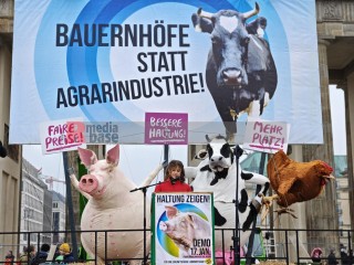 WHES2026 - Wir haben es satt 2026 - Wir haben die Agrarindustrie satt | sabineschefferberlin | <a href=/confor2/?bld=97880&t=d&pst=&aid=802&dc=1432&i1=sabineschefferberlin><strong>Download Bild 97880...</strong></a> |