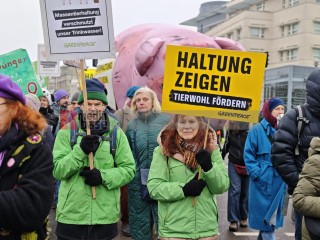 WHES2026 - Wir haben es satt 2026 - Wir haben die Agrarindustrie satt | sabineschefferberlin | <a href=/confor2/?bld=97901&t=d&pst=&aid=802&dc=1441&i1=sabineschefferberlin><strong>Download Bild 97901...</strong></a> |