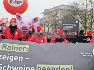 WHES2026 - Wir haben es satt 2026 - Wir haben die Agrarindustrie satt | sabineschefferberlin | <a href=/confor2/?bld=97903&t=d&pst=&aid=802&dc=1442&i1=sabineschefferberlin><strong>Download Bild 97903...</strong></a> |