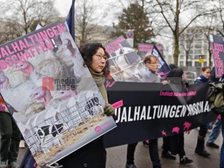 WHES2026 - Wir haben es satt 2026 - Wir haben die Agrarindustrie satt | sabineschefferberlin | <a href=/confor2/?bld=97904&t=d&pst=&aid=802&dc=1442&i1=sabineschefferberlin><strong>Download Bild 97904...</strong></a> |