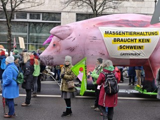 WHES2026 - Wir haben es satt 2026 - Wir haben die Agrarindustrie satt | sabineschefferberlin | <a href=/confor2/?bld=97908&t=d&pst=&aid=802&dc=1445&i1=sabineschefferberlin><strong>Download Bild 97908...</strong></a> |