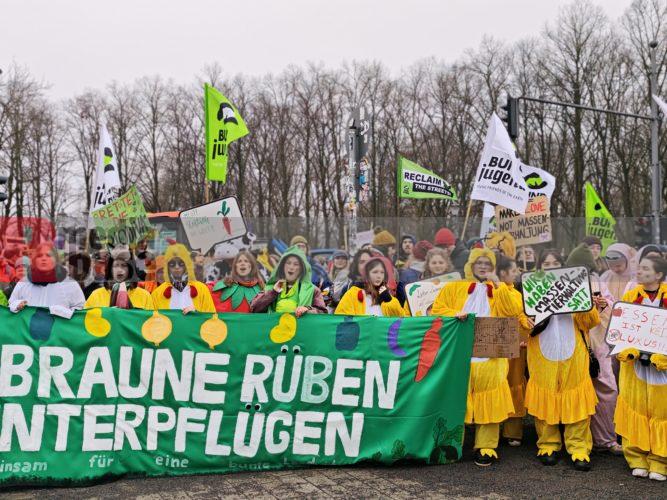 Wir haben es satt 2026, Demonstration in Berlin gegen die Agrarindustrie,